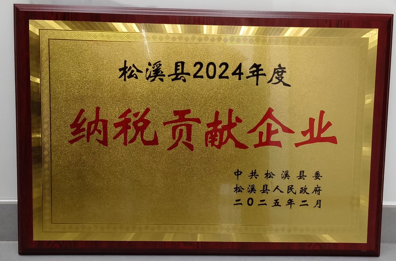 喜報！易順建工集團榮獲“松溪縣2024年度納稅貢獻企業(yè)”稱號